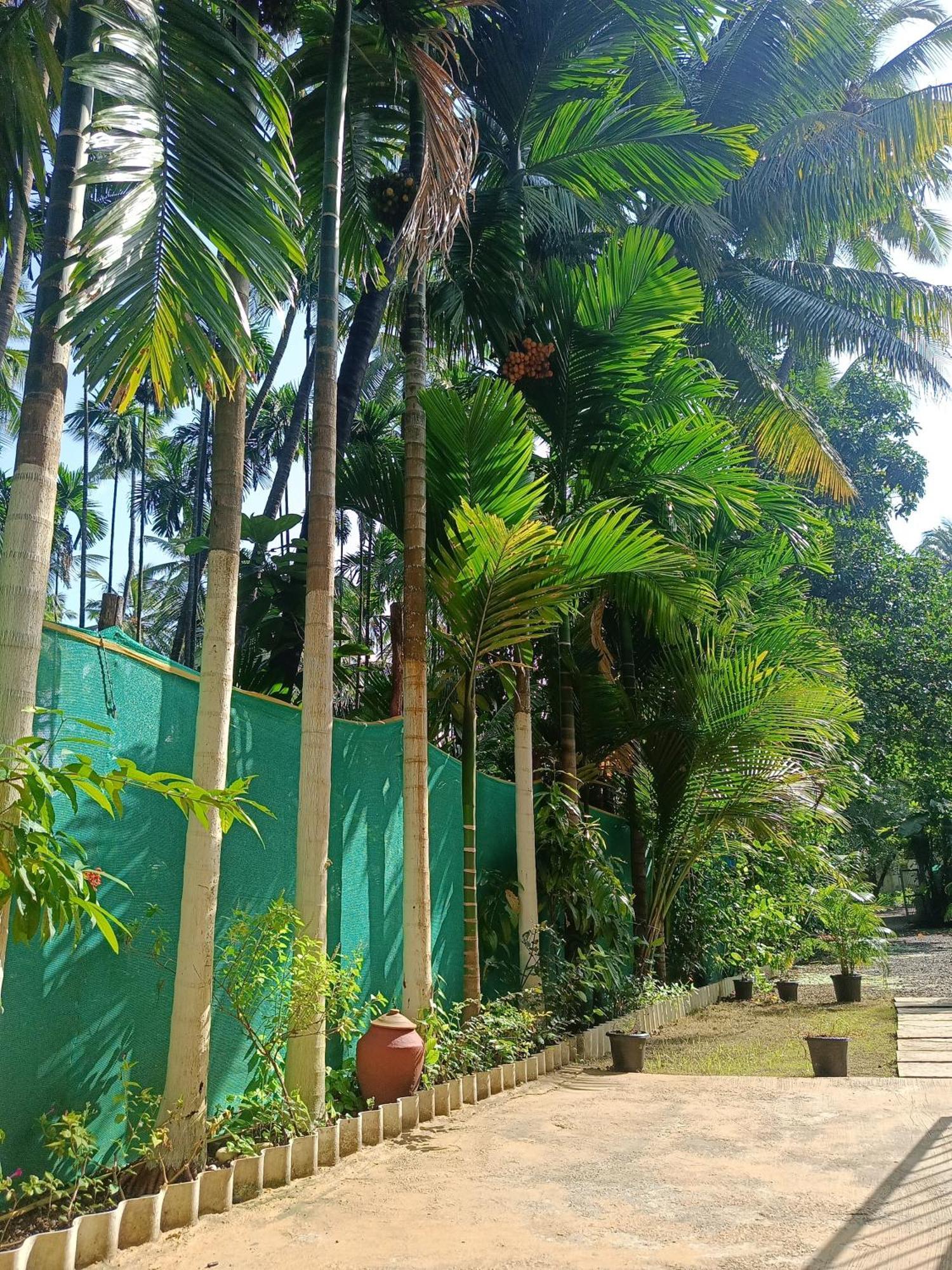 Blossom Villa Alībāg Exterior photo